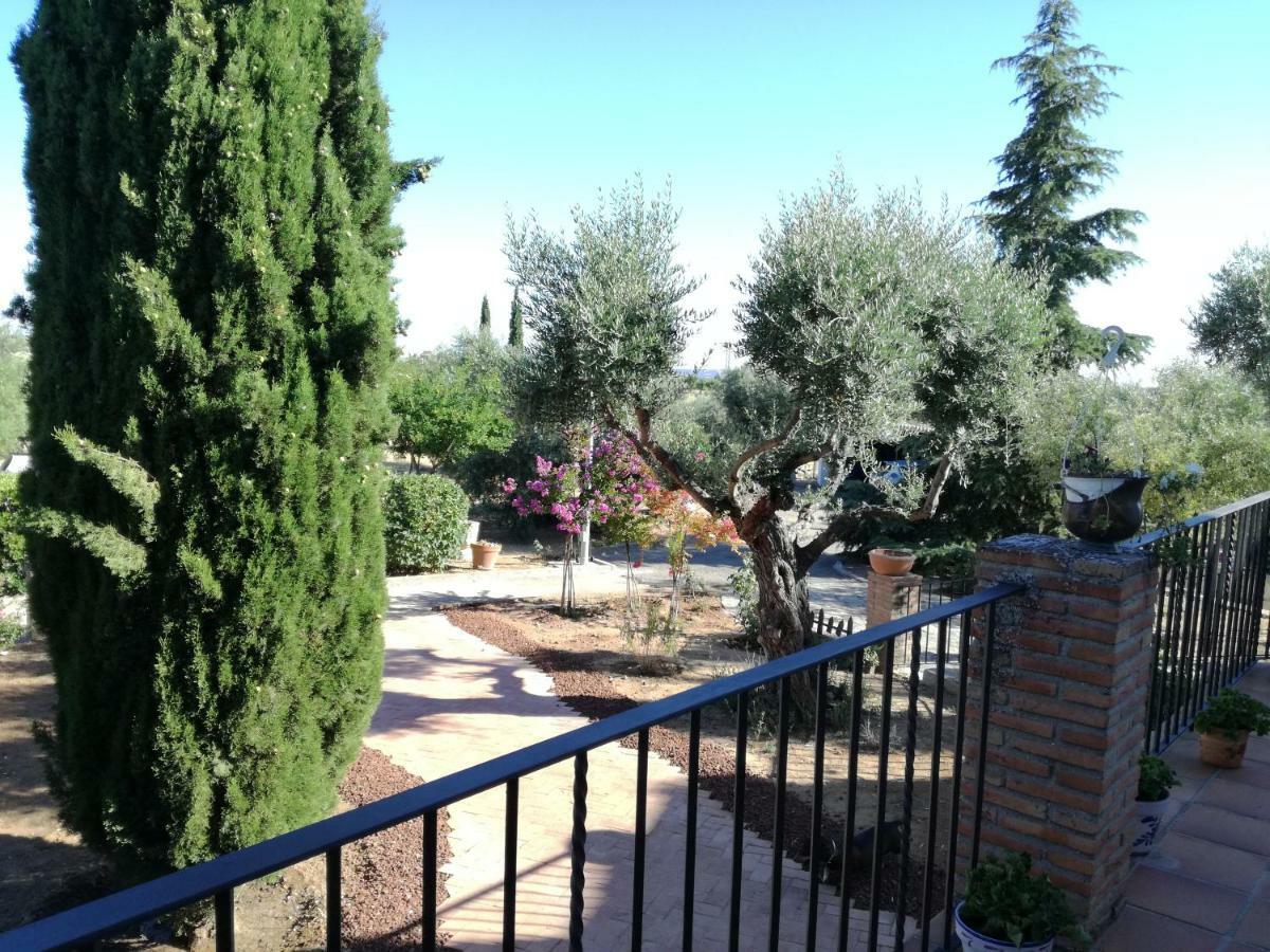 Villa Casa Rural La Amistad Burguillos de Toledo Exterior foto